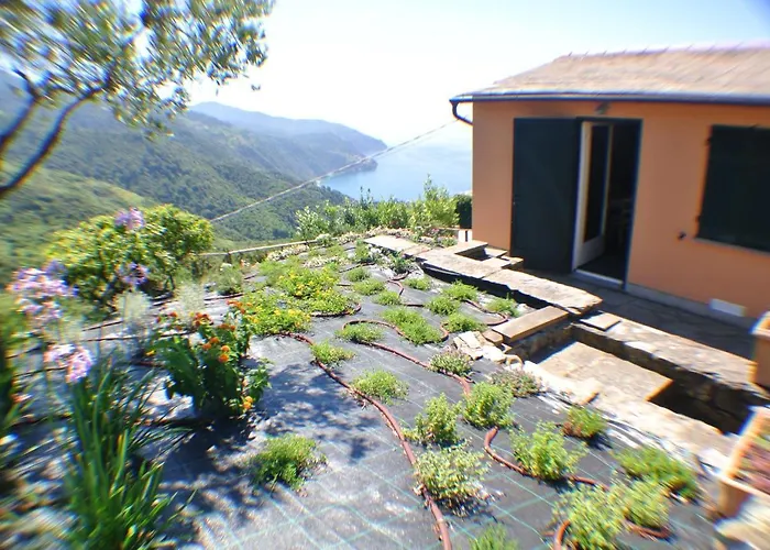 Walk And Relax Retreat - Homy 5 Terre