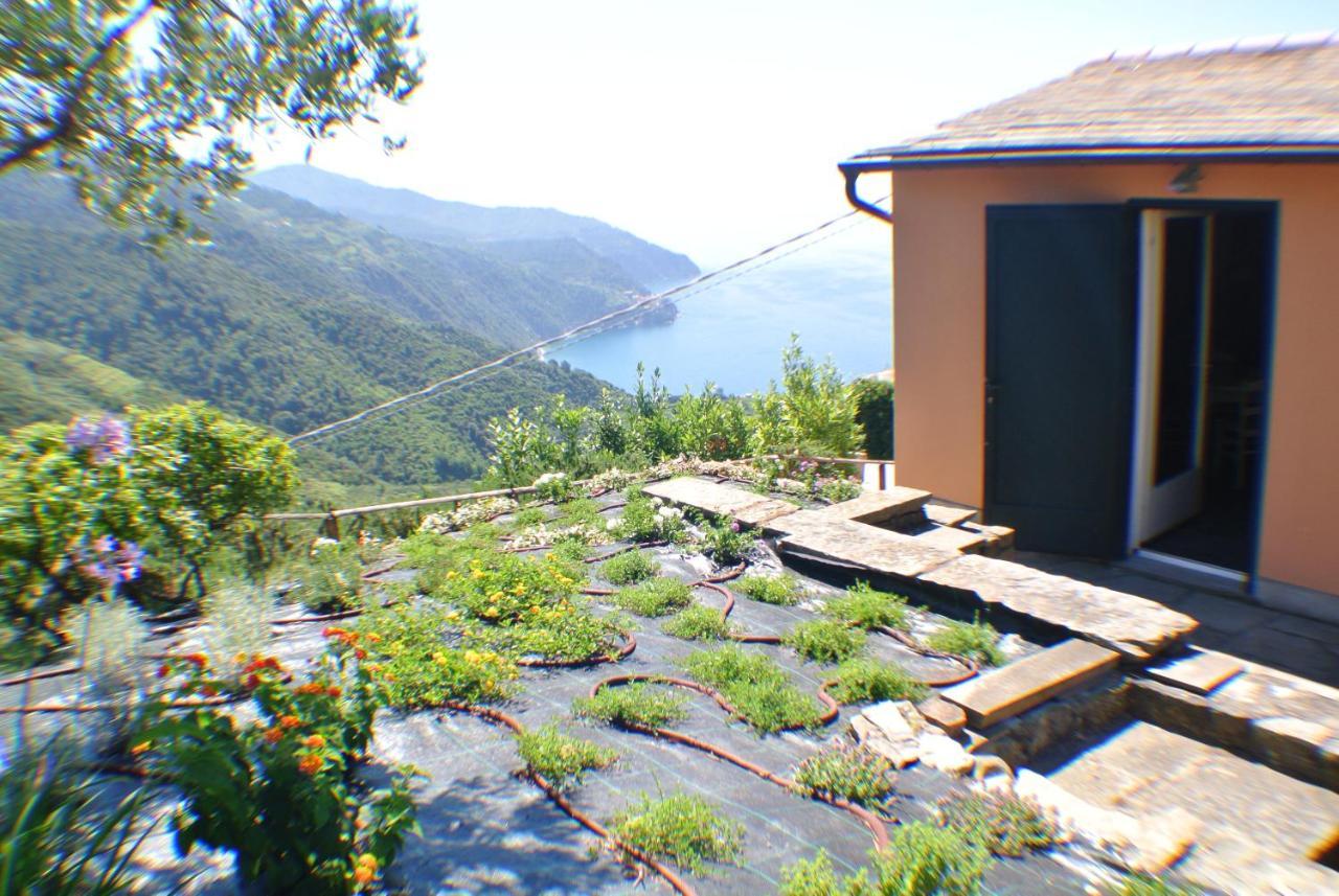 Walk And Relax Retreat - Homy 5 Terre Vakantiehuis San Bernardino