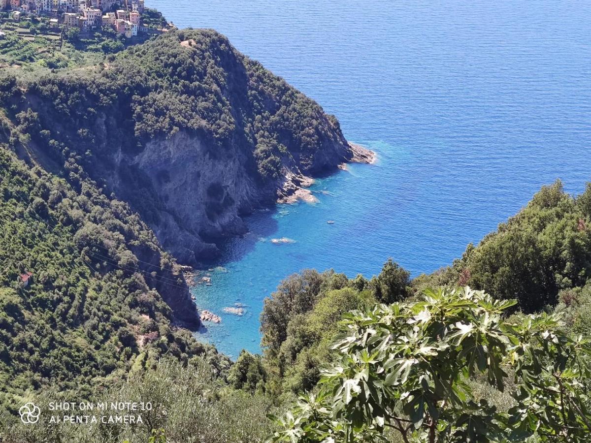 Walk And Relax Retreat - Homy 5 Terre