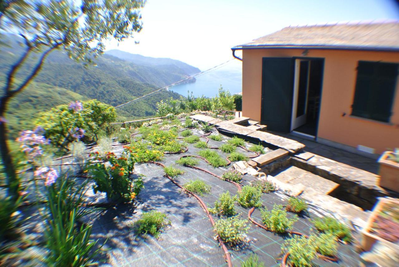 Walk And Relax Retreat - Homy 5 Terre * San Bernardino