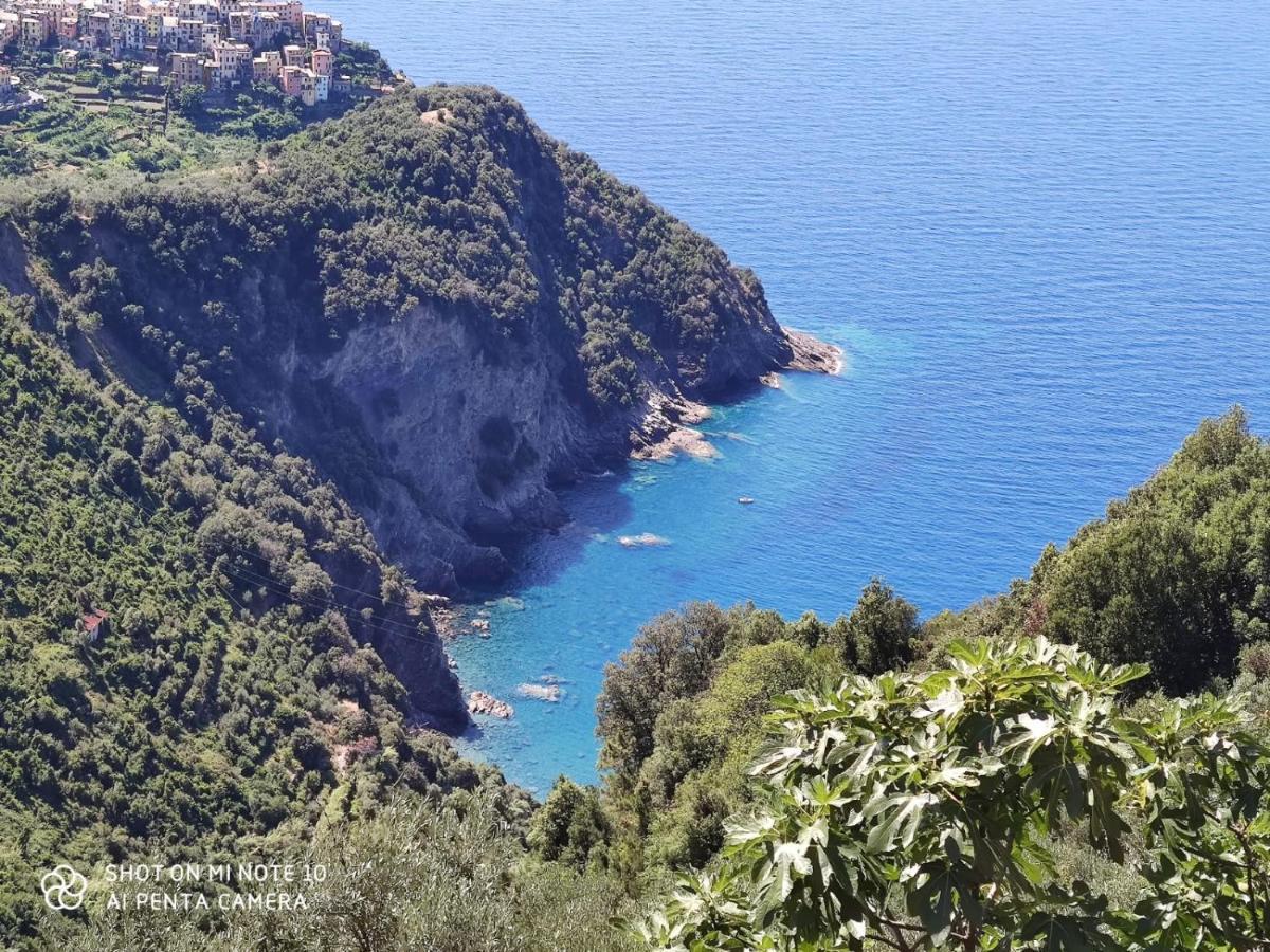 Walk And Relax Retreat - Homy 5 Terre Vakantiehuis San Bernardino