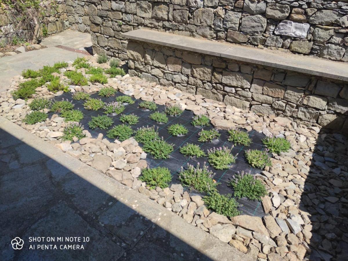 Vakantiehuis Walk And Relax Retreat - Homy 5 Terre San Bernardino