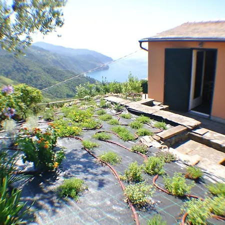 Walk And Relax Retreat - Homy 5 Terre Villa San Bernardino Buitenkant foto