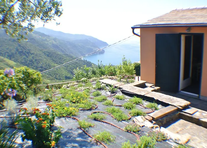 Walk And Relax Retreat - Homy 5 Terre