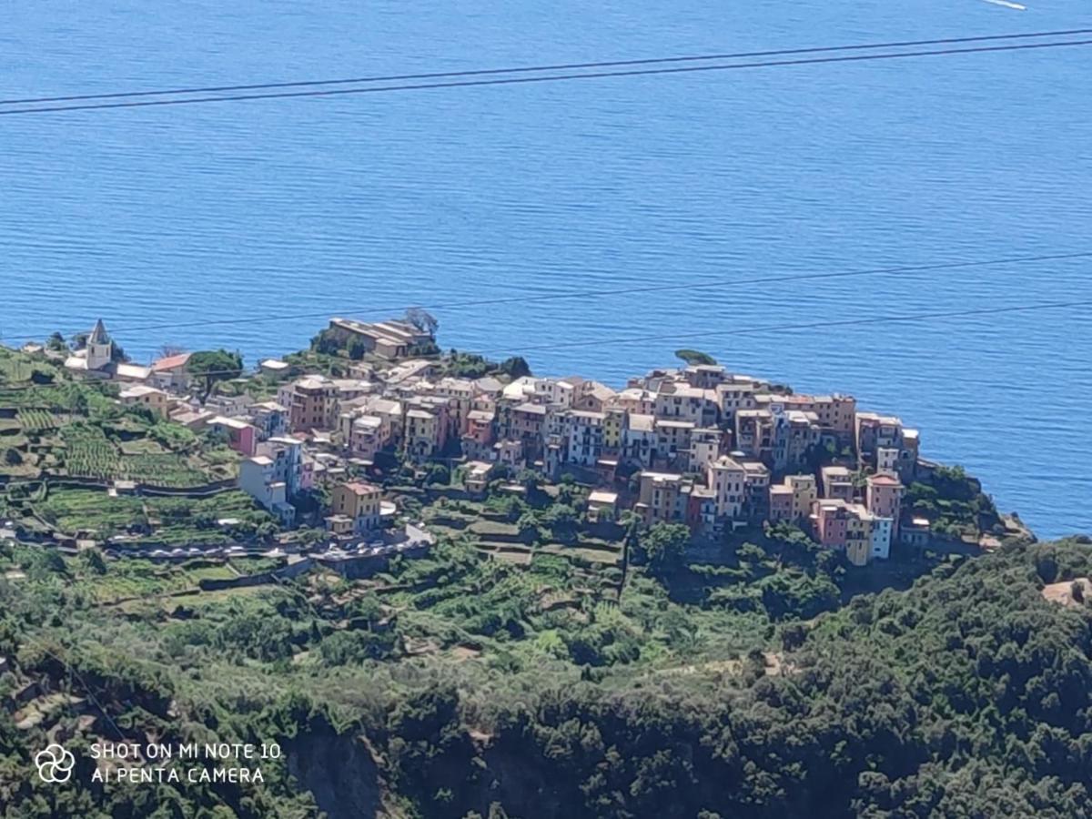 Holiday home Walk And Relax Retreat - Homy 5 Terre *