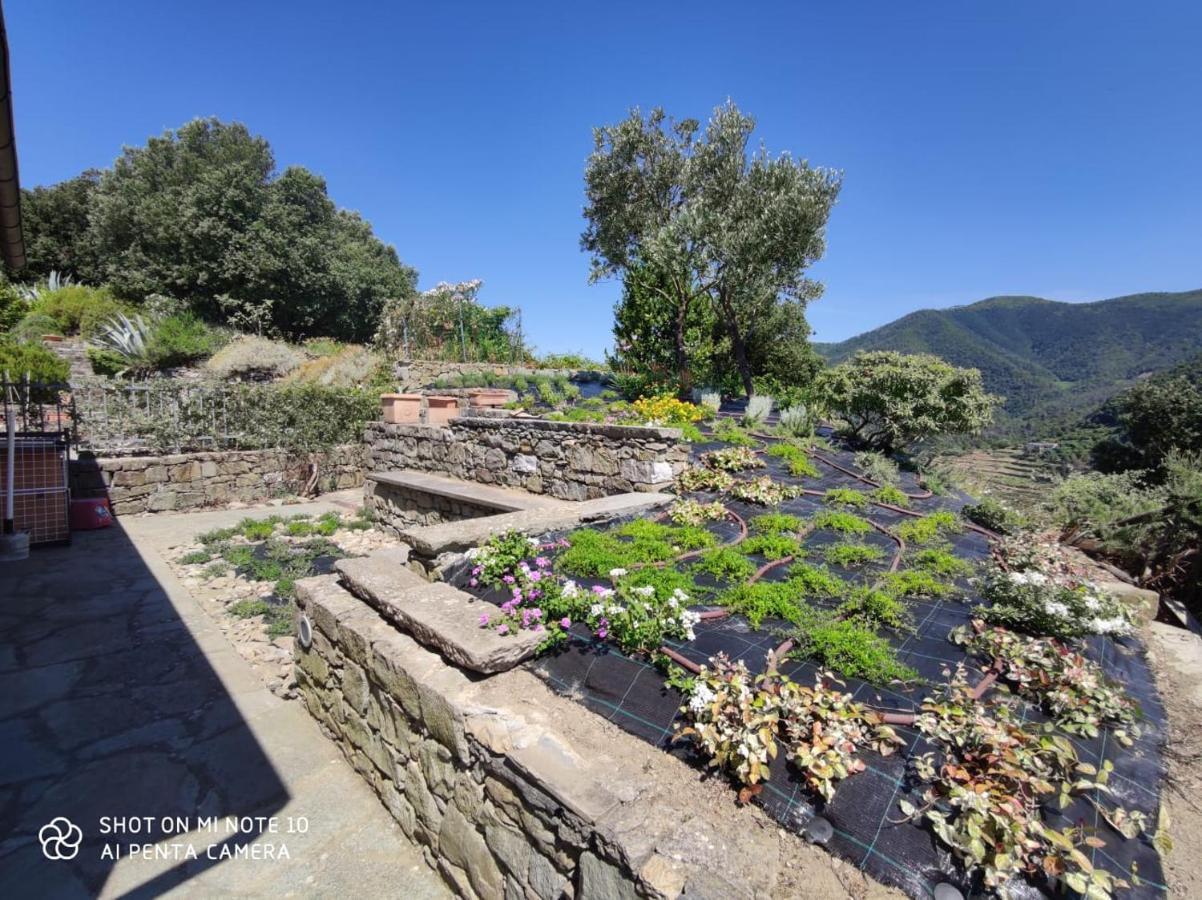Walk And Relax Retreat - Homy 5 Terre San Bernardino