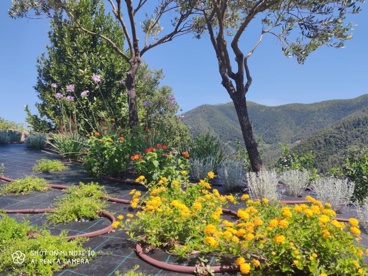 Walk And Relax Retreat - Homy 5 Terre Holiday home San Bernardino